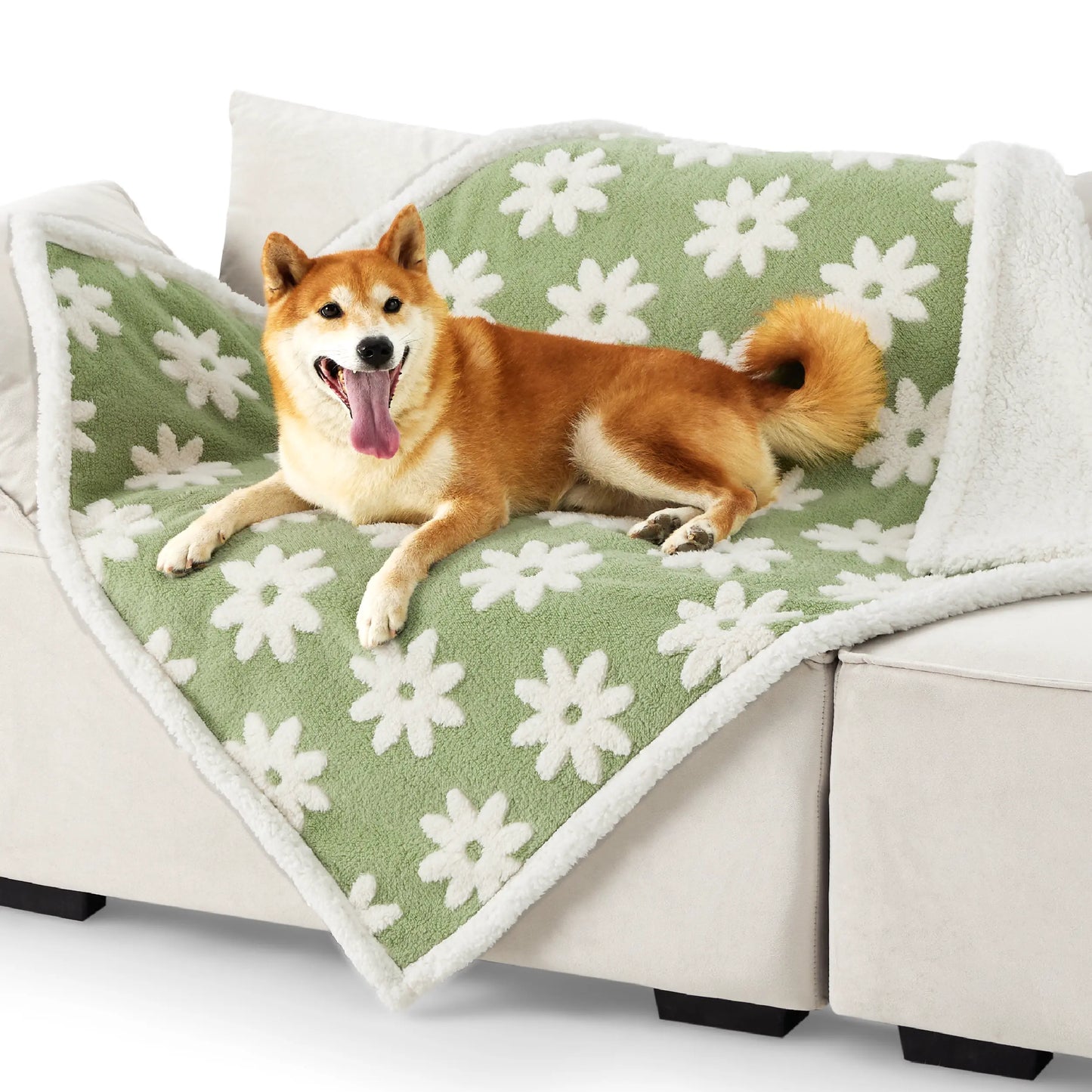Lesure Waterproof Pet Blanket for Dogs & Cats -Sided Jacquard Shag & Sherpa Fleece Blanket for Pets and Humans, 3D Textured Cloud Pattern, Machine Washable, Durable & Portable, Soft Couch Protector