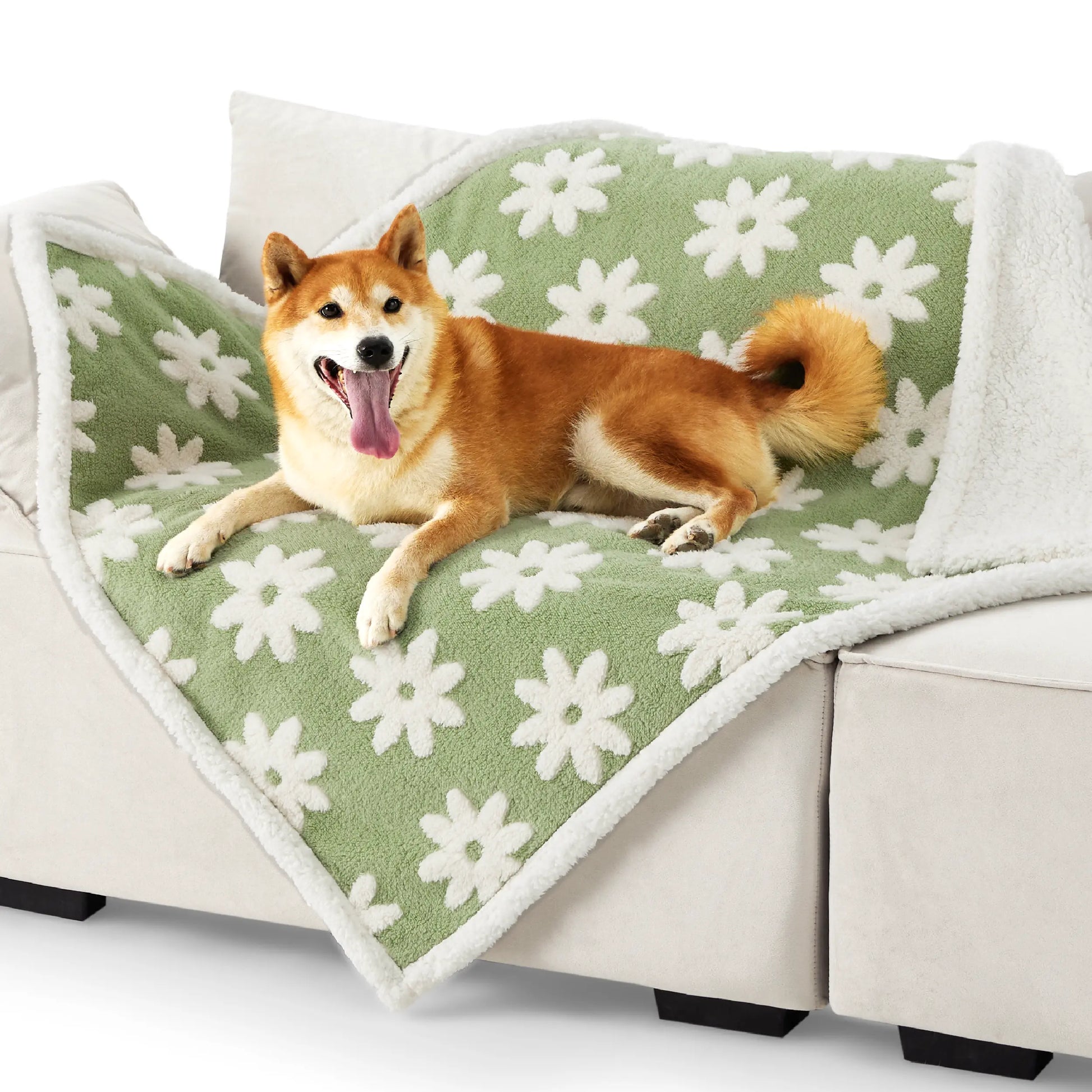 Lesure Waterproof Pet Blanket for Dogs & Cats -Sided Jacquard Shag & Sherpa Fleece Blanket for Pets and Humans, 3D Textured Cloud Pattern, Machine Washable, Durable & Portable, Soft Couch Protector