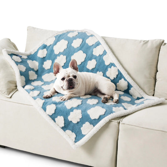 Lesure Waterproof Pet Blanket for Dogs & Cats -Sided Jacquard Shag & Sherpa Fleece Blanket for Pets and Humans, 3D Textured Cloud Pattern, Machine Washable, Durable & Portable, Soft Couch Protector