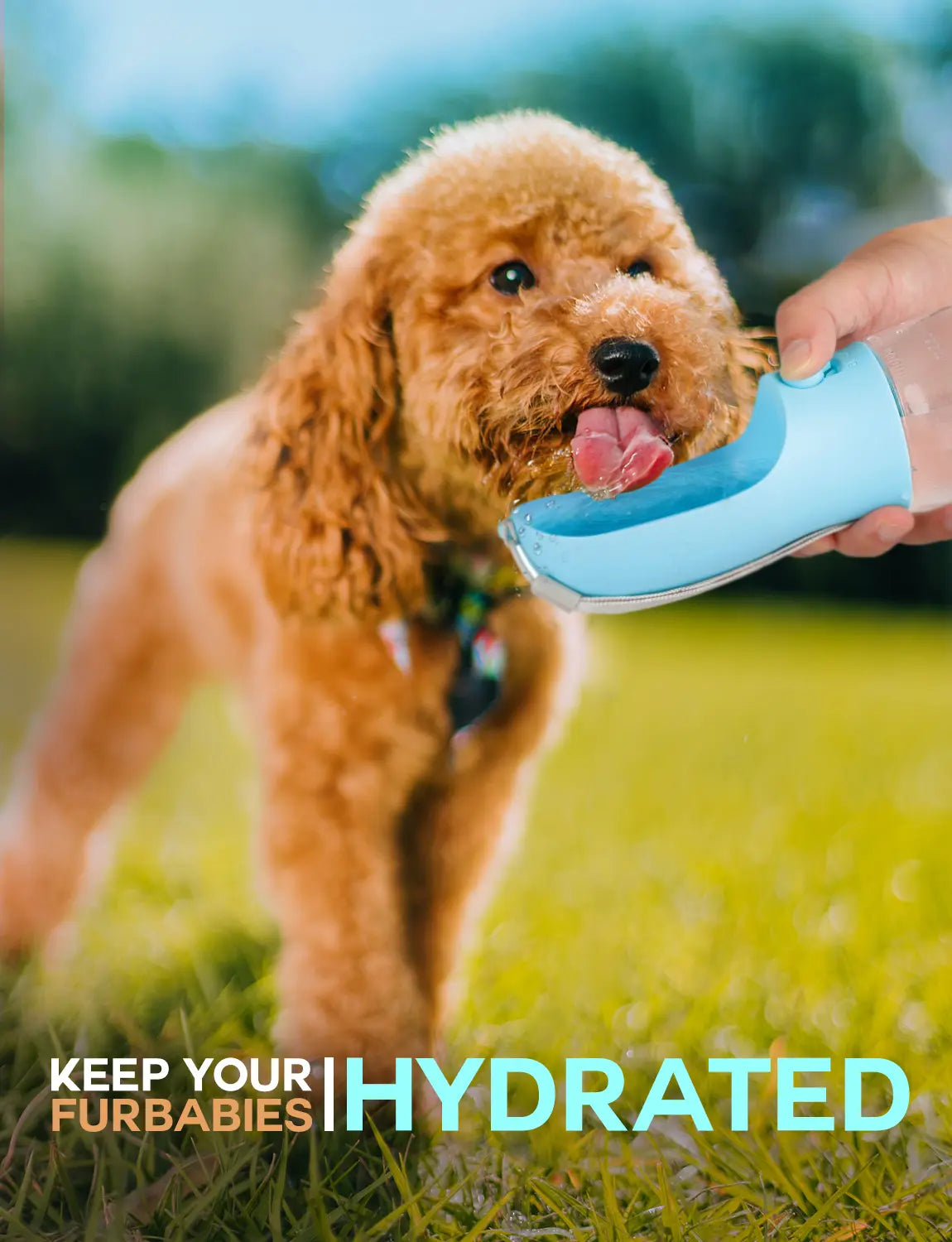 3In1 Pet Water Bottle with Built-In Filtration - 20Oz Leak-Proof Design Container, Easy-To-Use, Built-In Poop Bag Dispenser, Food Storage, Ideal for Travel, Hiking (Dog & Cat Feeding Supplies)