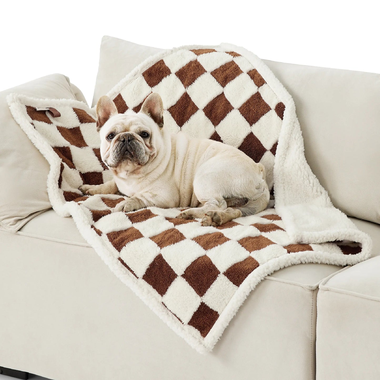 Lesure Waterproof Pet Blanket for Dogs & Cats -Sided Jacquard Shag & Sherpa Fleece Blanket for Pets and Humans, 3D Textured Cloud Pattern, Machine Washable, Durable & Portable, Soft Couch Protector